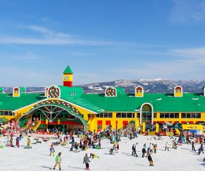 日本岐阜 - 知名滑雪場(chǎng) 【低門檻+包吃住】