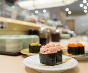 赴澳大利亞（塔斯馬尼亞州/霍巴特）- 壽司師傅